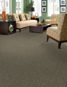 Carpet - Textured Bay View Carpeting