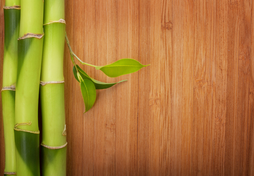 bamboo-stalks-on-bamboo-flooring