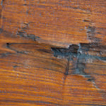 repair hardwood