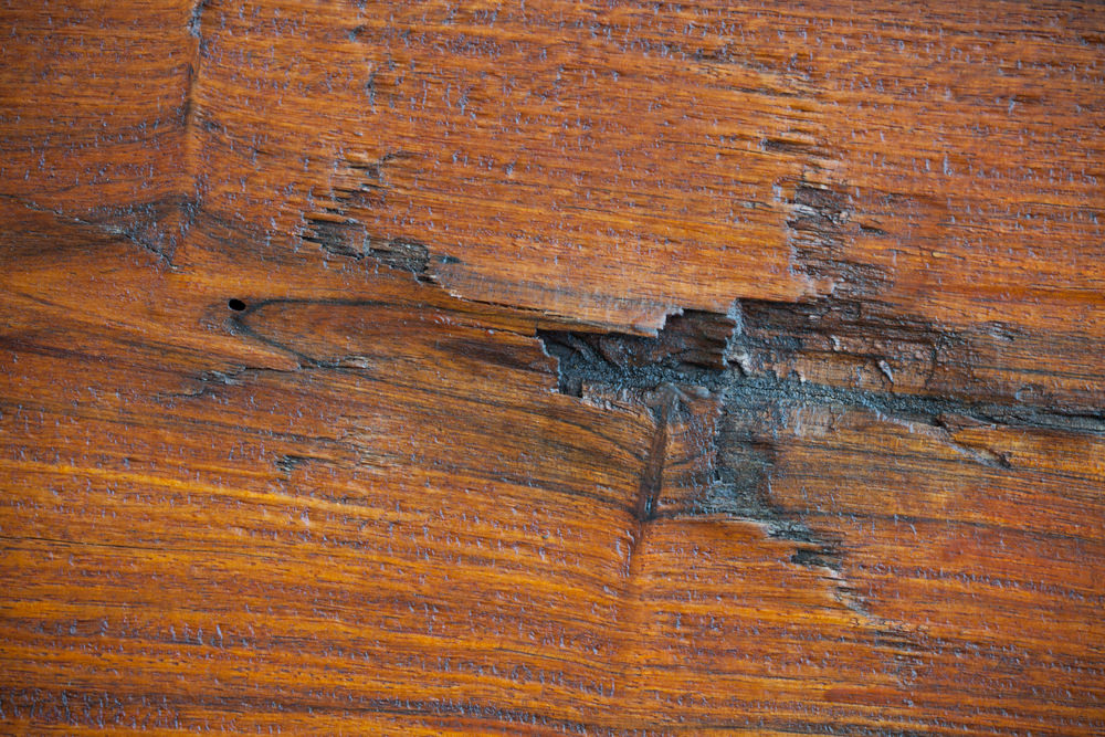 repair hardwood