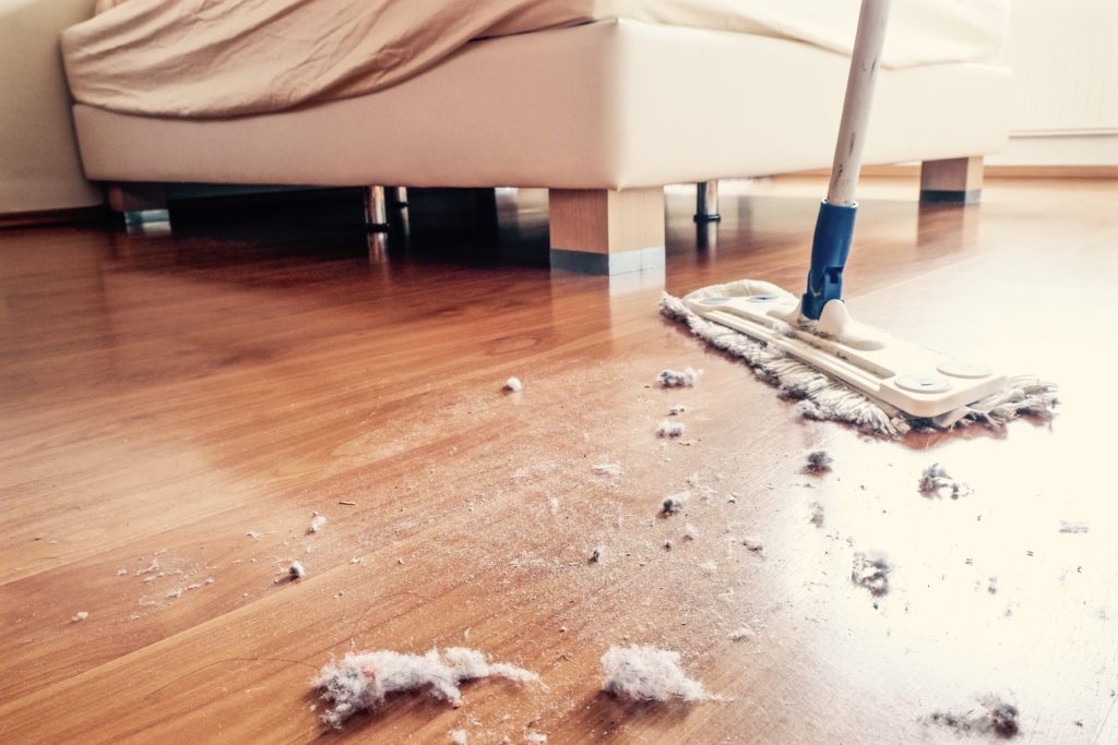 Dust Mop on Hardwood