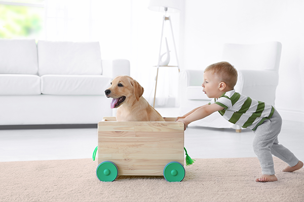 Scratch Resistant Flooring