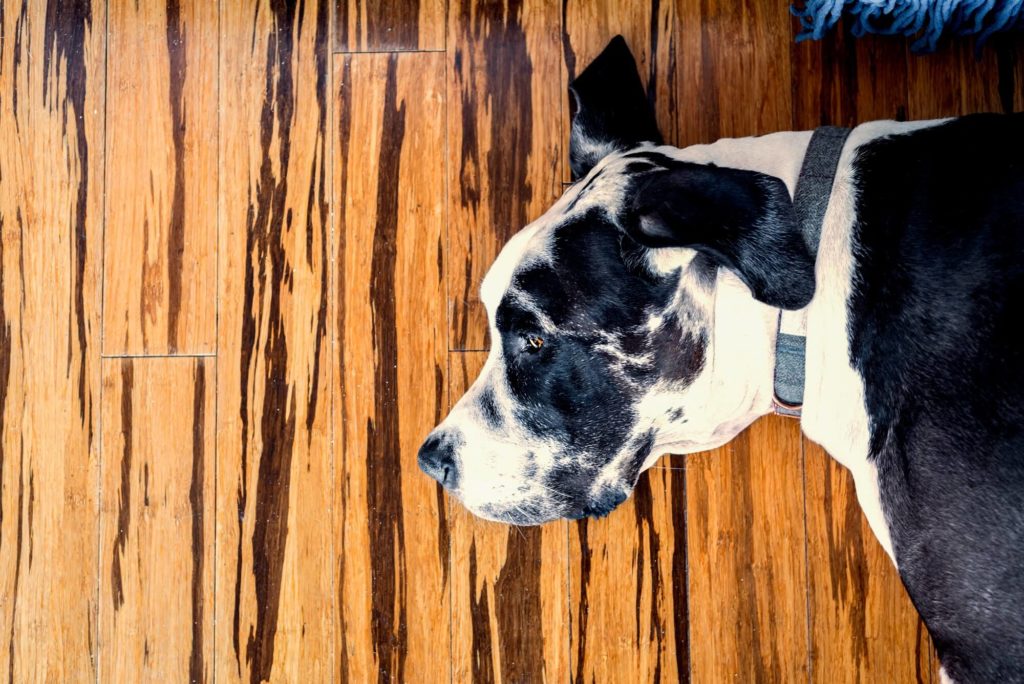 bamboo floor cleaner