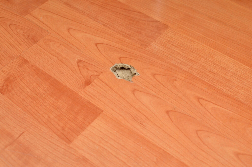 damaged laminate floor